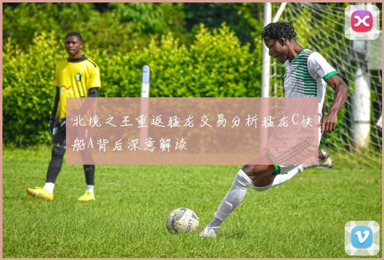 北境之王重返猛龙交易分析猛龙C快船A背后深意解读