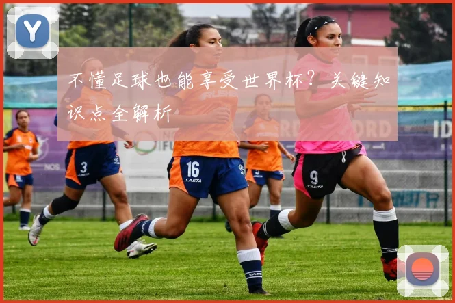 不懂足球也能享受世界杯？关键知识点全解析